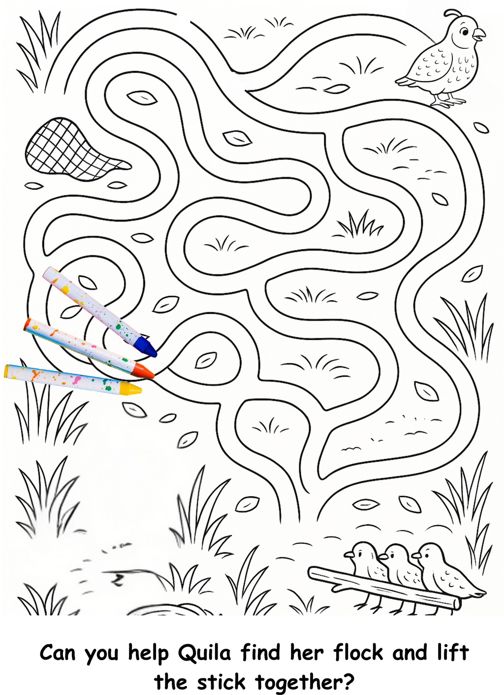Quinn and the Quail – Kids Coloring Story Book (Printable PDF)