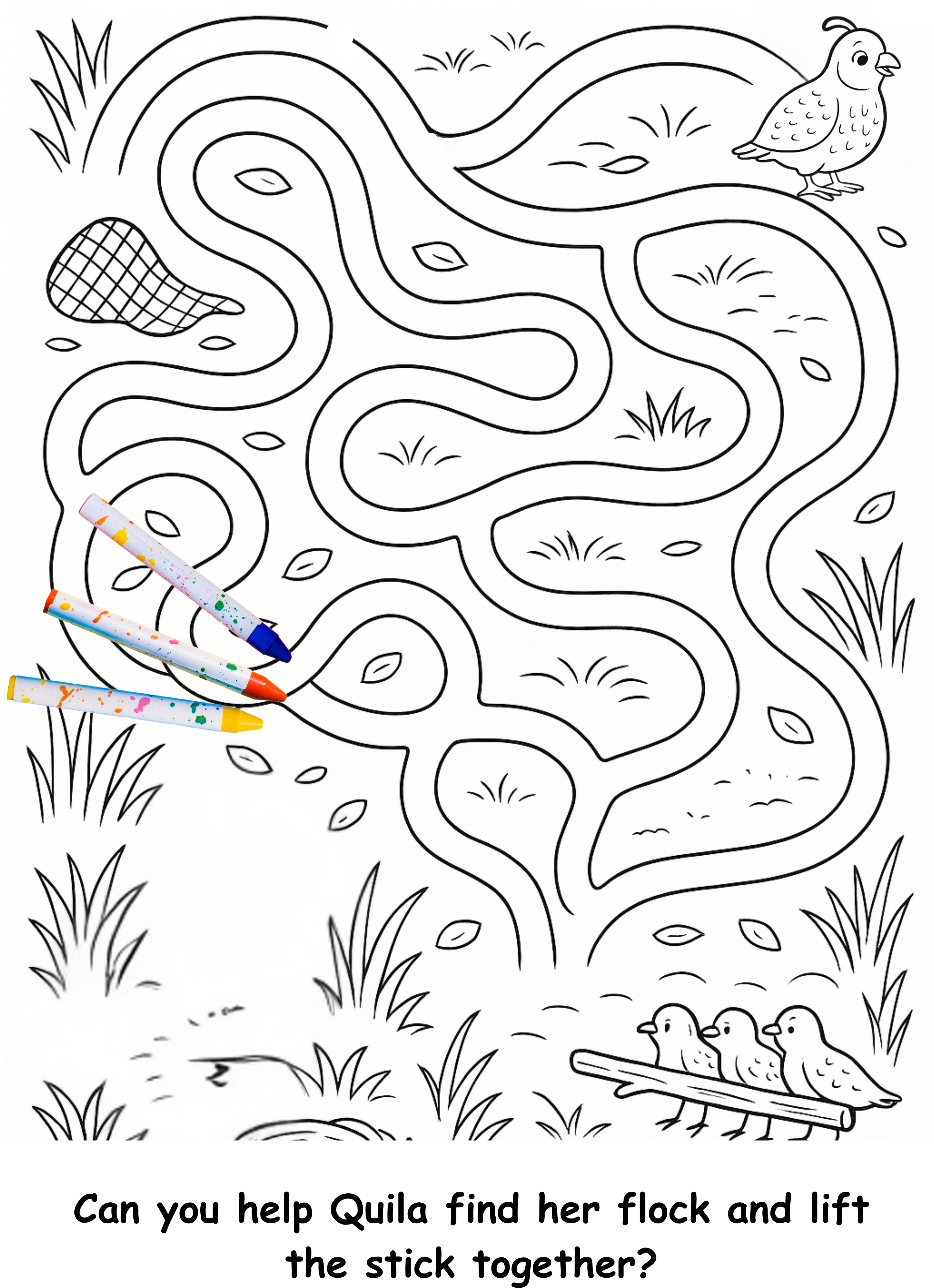 Quinn and the Quail – Kids Coloring Story Book (Printable PDF)